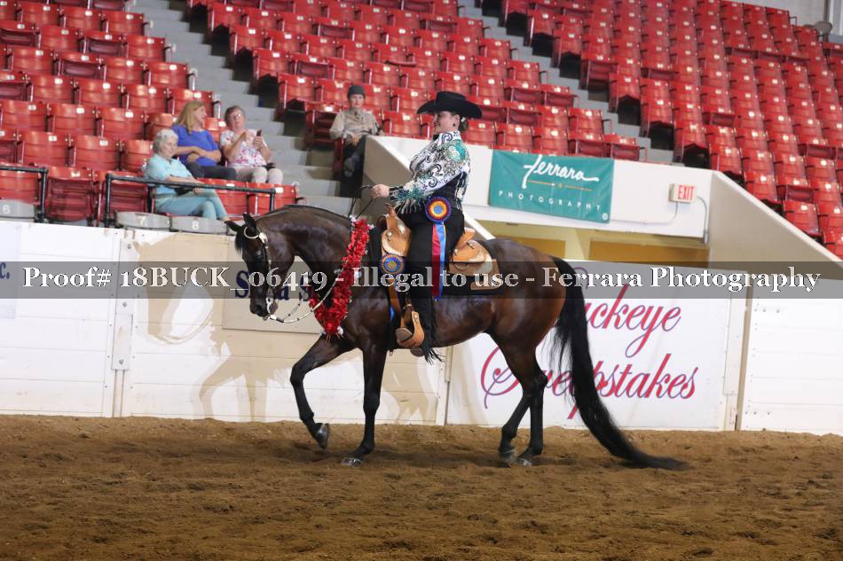 Proof 18BUCK_06419