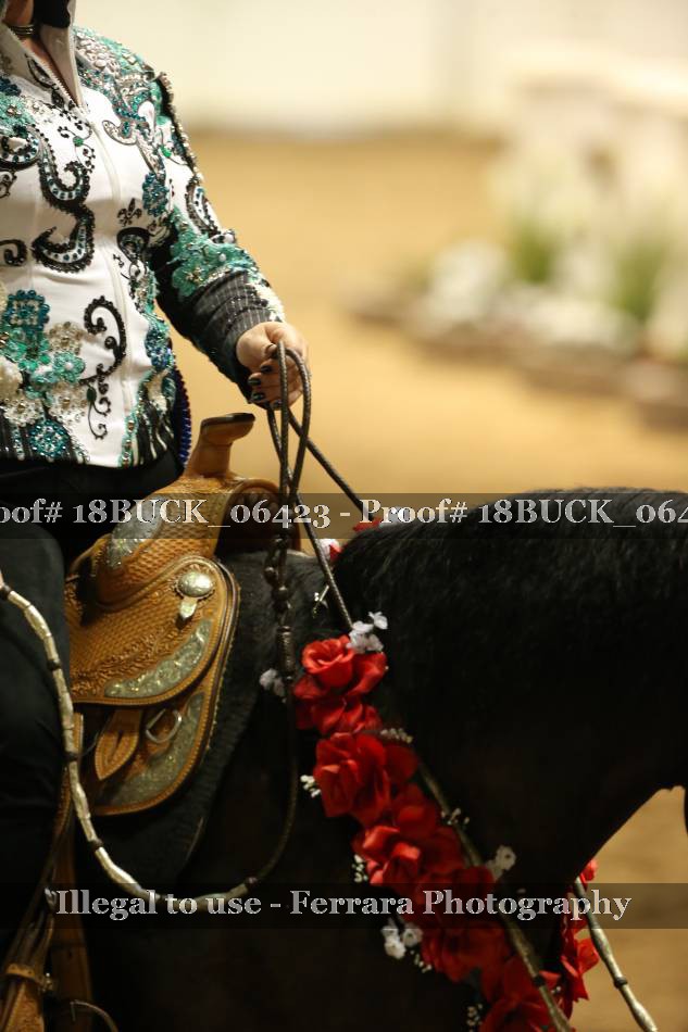 Proof 18BUCK_06423