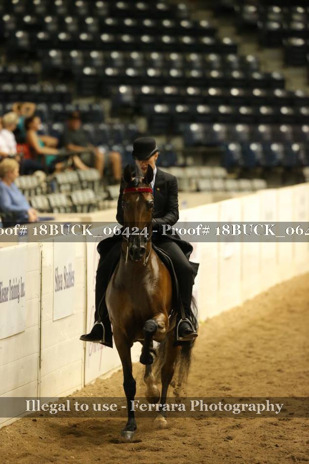 Proof 18BUCK_06424