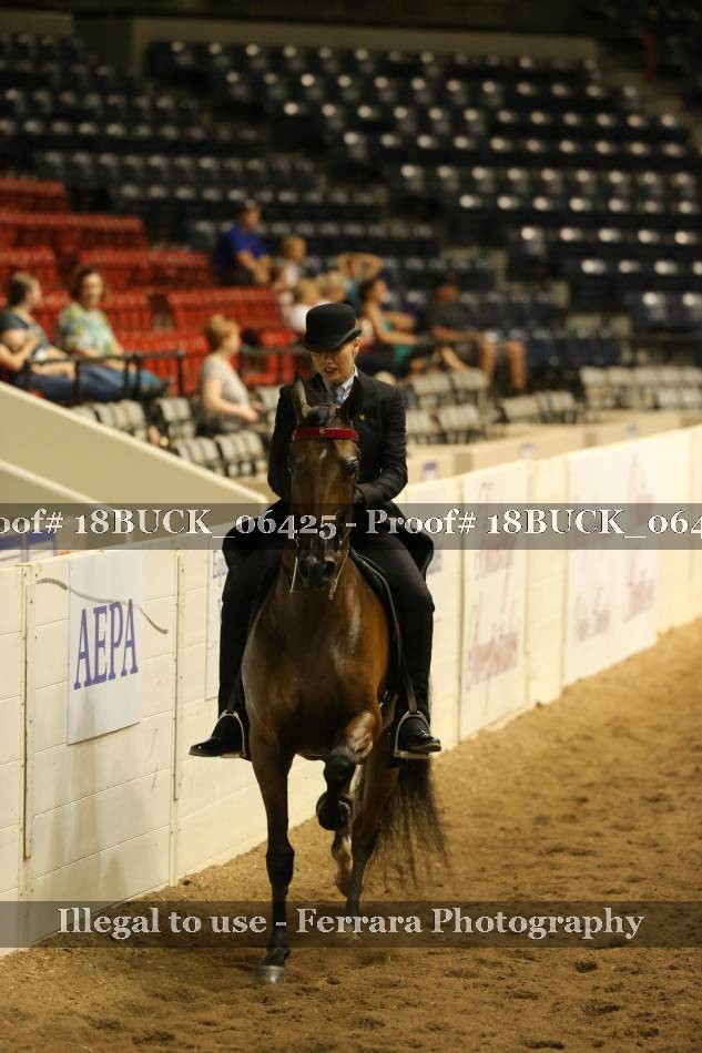 Proof 18BUCK_06425