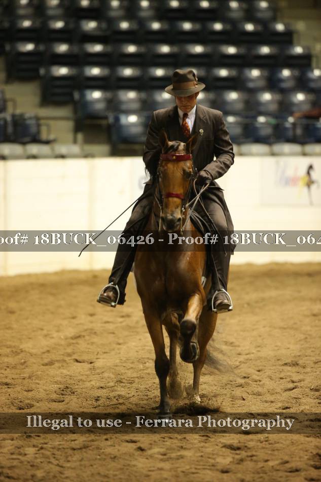 Proof 18BUCK_06426