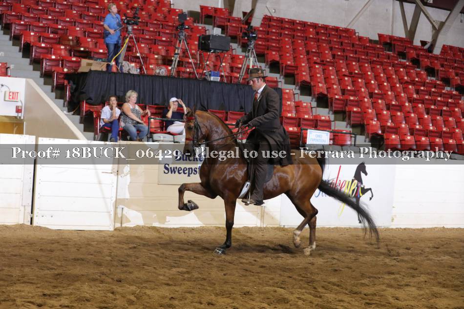 Proof 18BUCK_06429