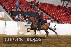 18BUCK_06429 proof