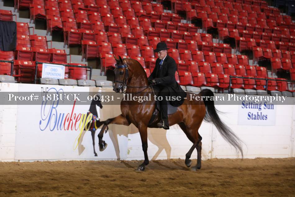 Proof 18BUCK_06431