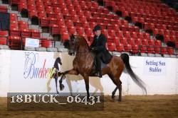 18BUCK_06431 proof