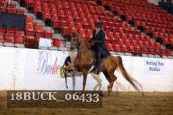 18BUCK_06433 proof
