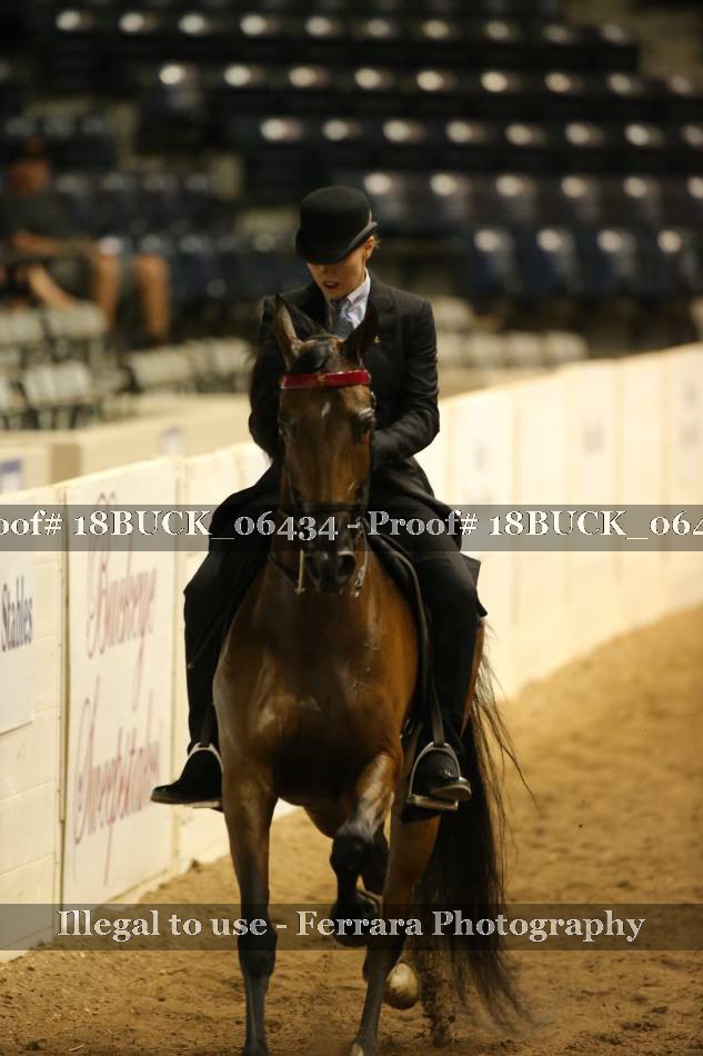 Proof 18BUCK_06434