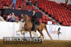 18BUCK_06435 proof