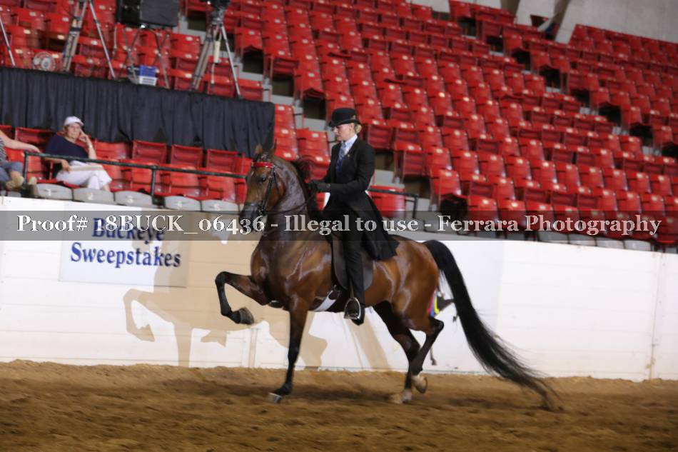 Proof 18BUCK_06436