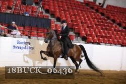 18BUCK_06436 proof