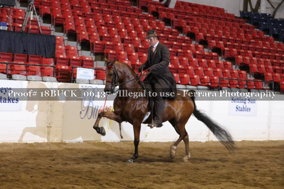 Proof 18BUCK_06437