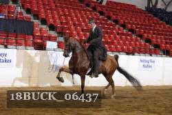 18BUCK_06437 proof