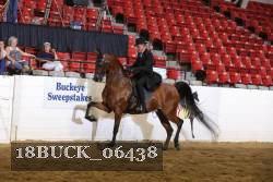 18BUCK_06438 proof