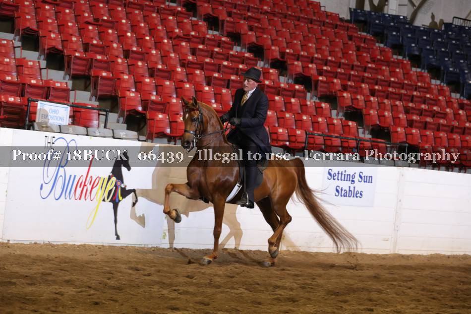 Proof 18BUCK_06439