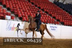 18BUCK_06439 proof