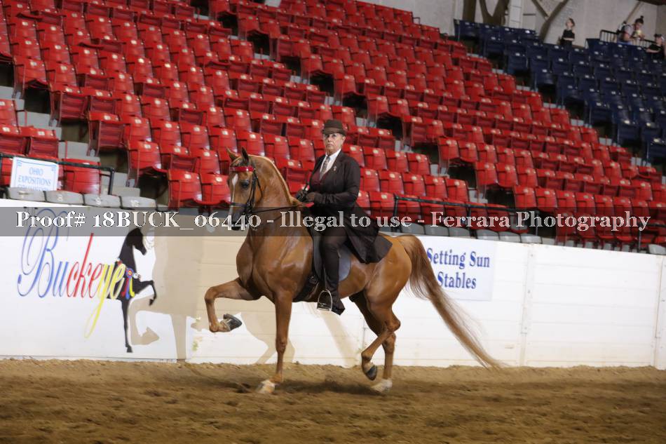 Proof 18BUCK_06440