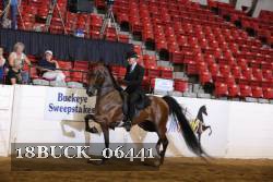 18BUCK_06441 proof