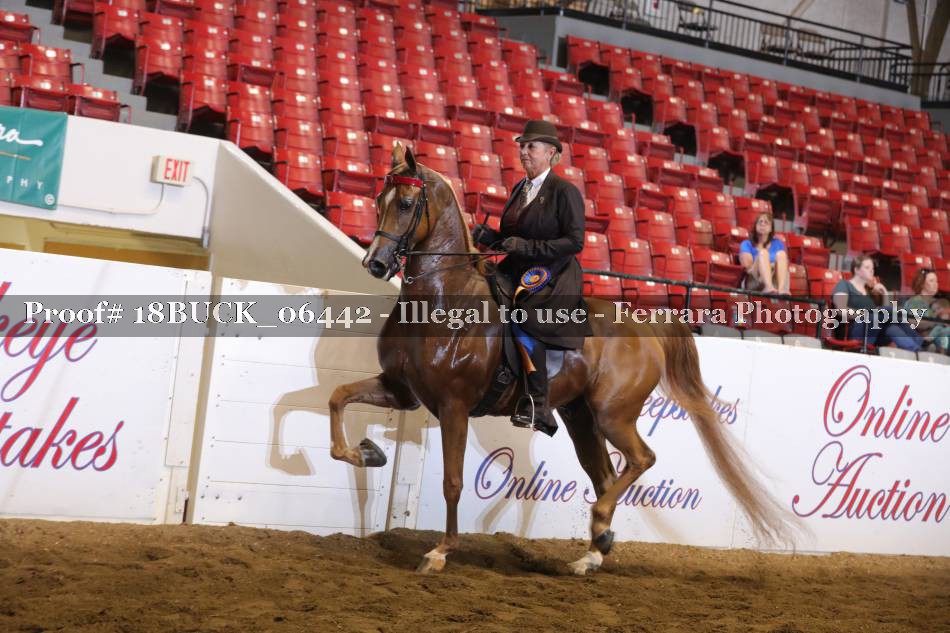 Proof 18BUCK_06442