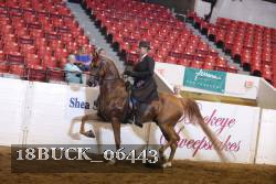 18BUCK_06443 proof