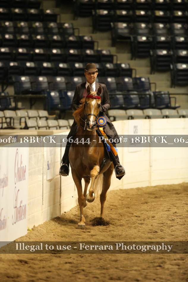 Proof 18BUCK_06444