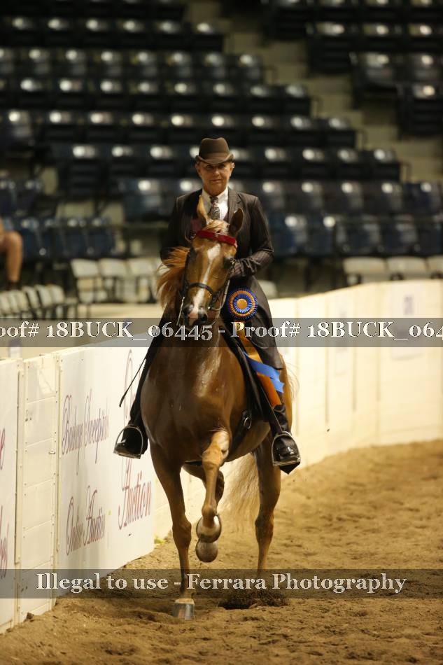 Proof 18BUCK_06445
