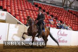 18BUCK_06446 proof
