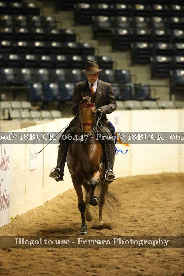 Proof 18BUCK_06447