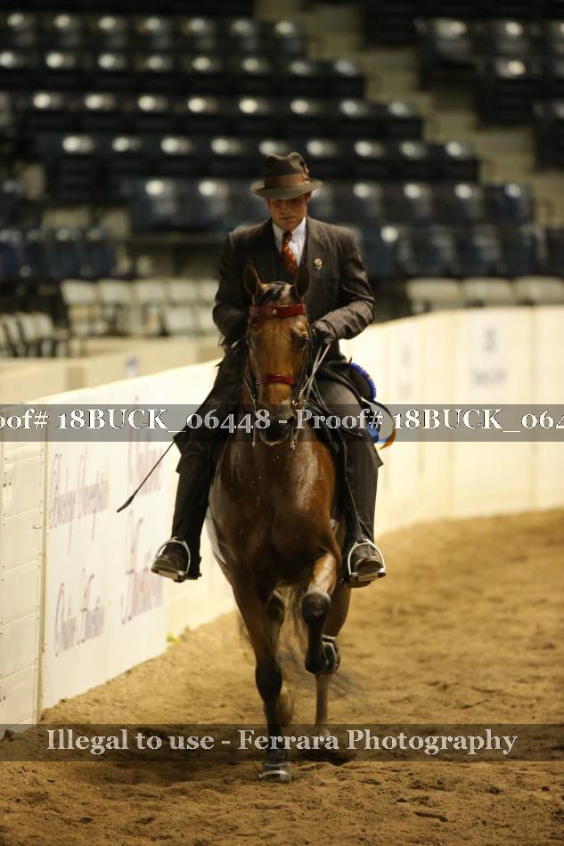 Proof 18BUCK_06448