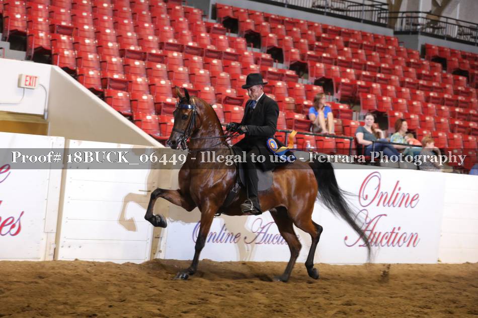 Proof 18BUCK_06449