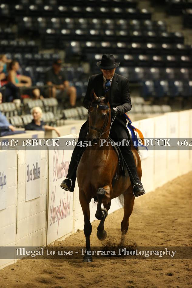Proof 18BUCK_06451