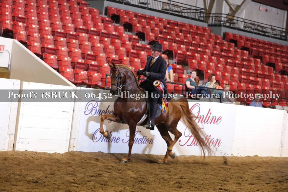 Proof 18BUCK_06452