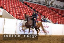 18BUCK_06452 proof