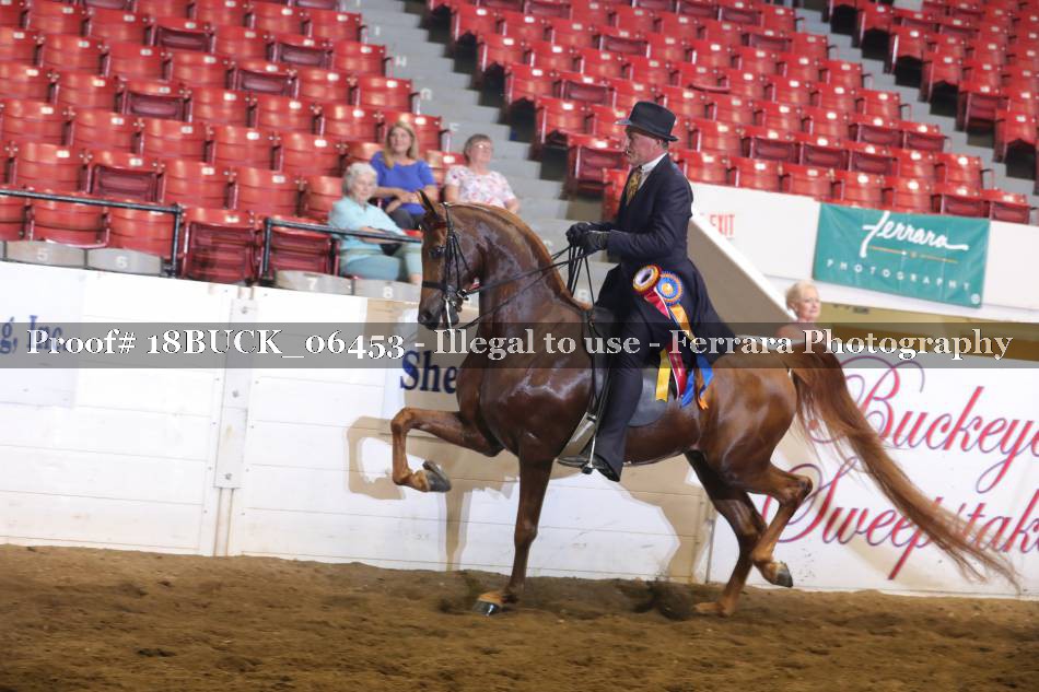 Proof 18BUCK_06453