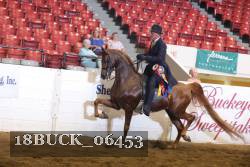 18BUCK_06453 proof
