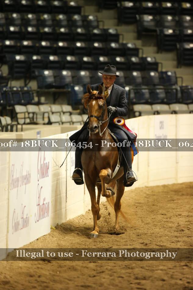 Proof 18BUCK_06454