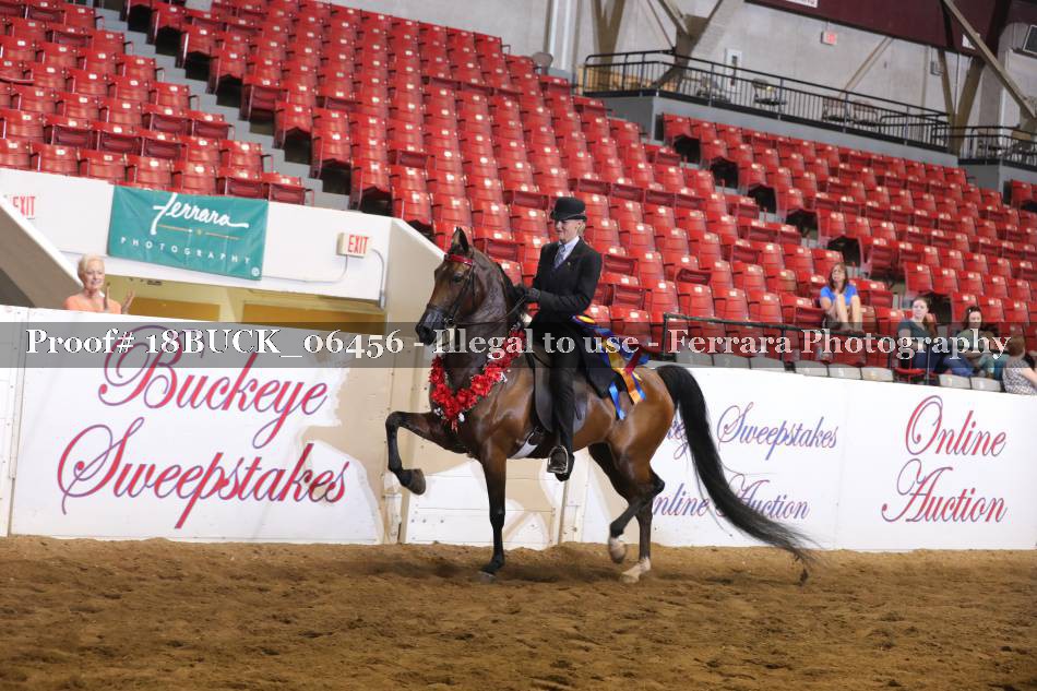 Proof 18BUCK_06456