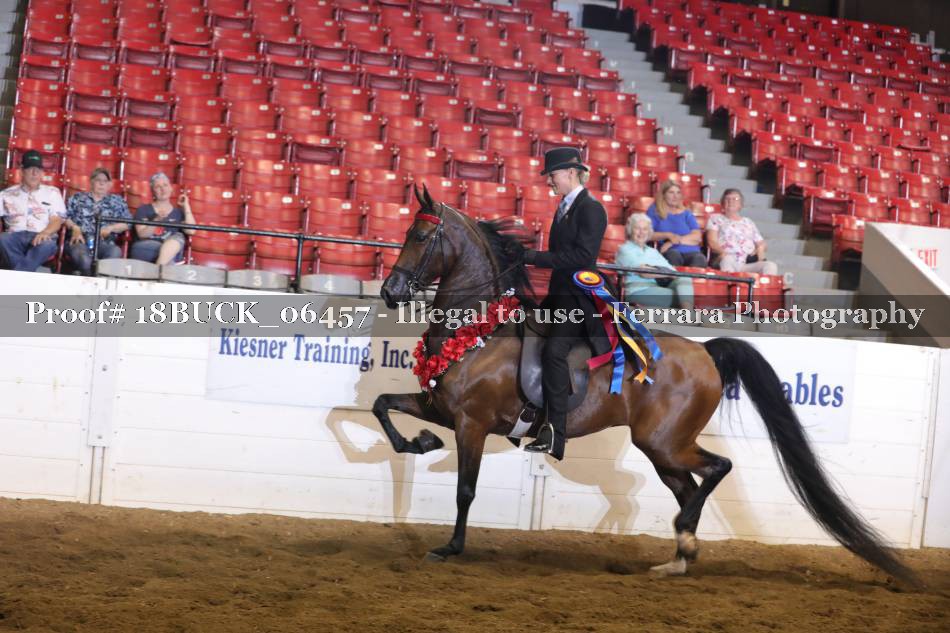 Proof 18BUCK_06457
