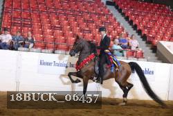 18BUCK_06457 proof