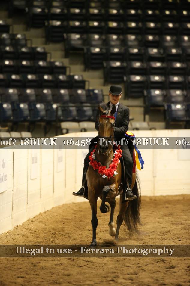 Proof 18BUCK_06458