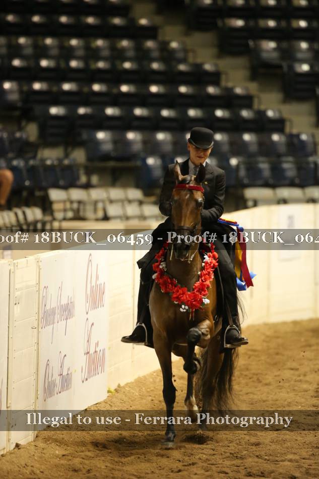 Proof 18BUCK_06459