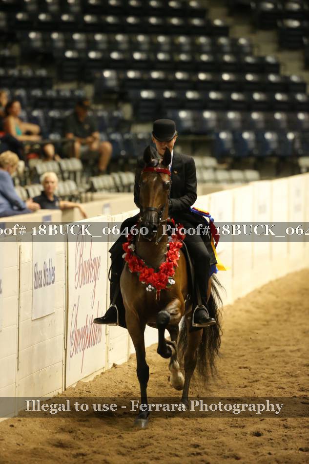 Proof 18BUCK_06460