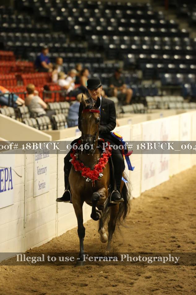Proof 18BUCK_06461