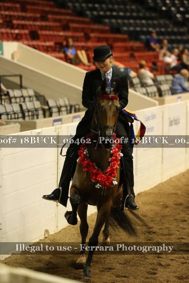 Proof 18BUCK_06462