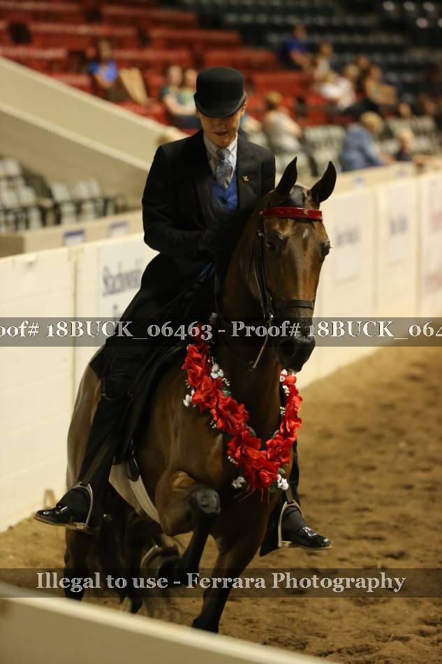 Proof 18BUCK_06463