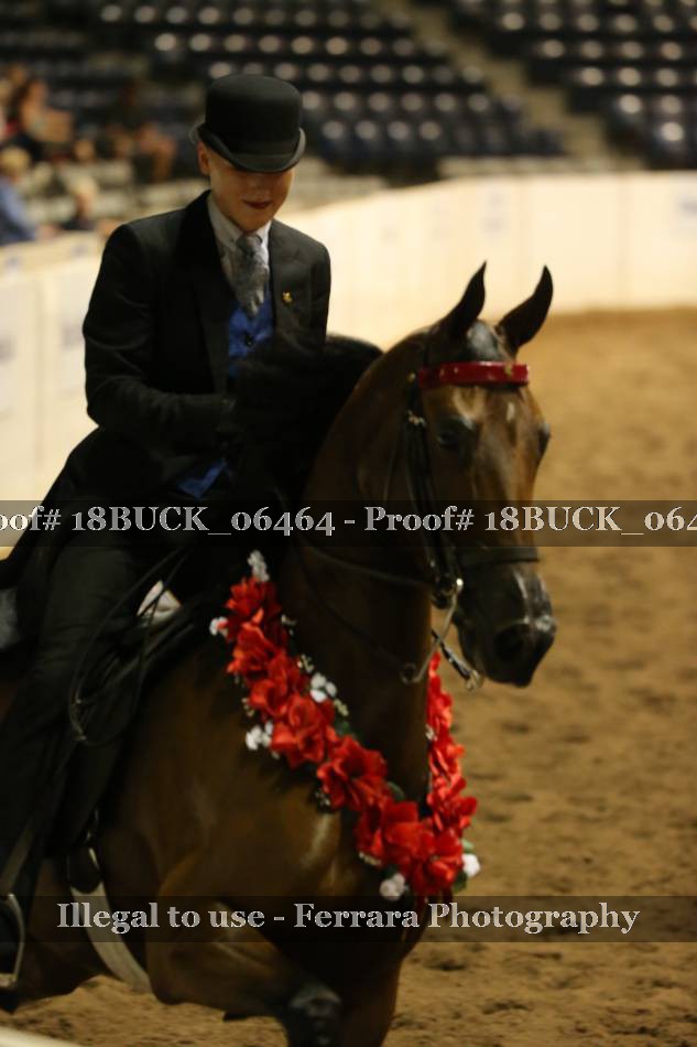 Proof 18BUCK_06464