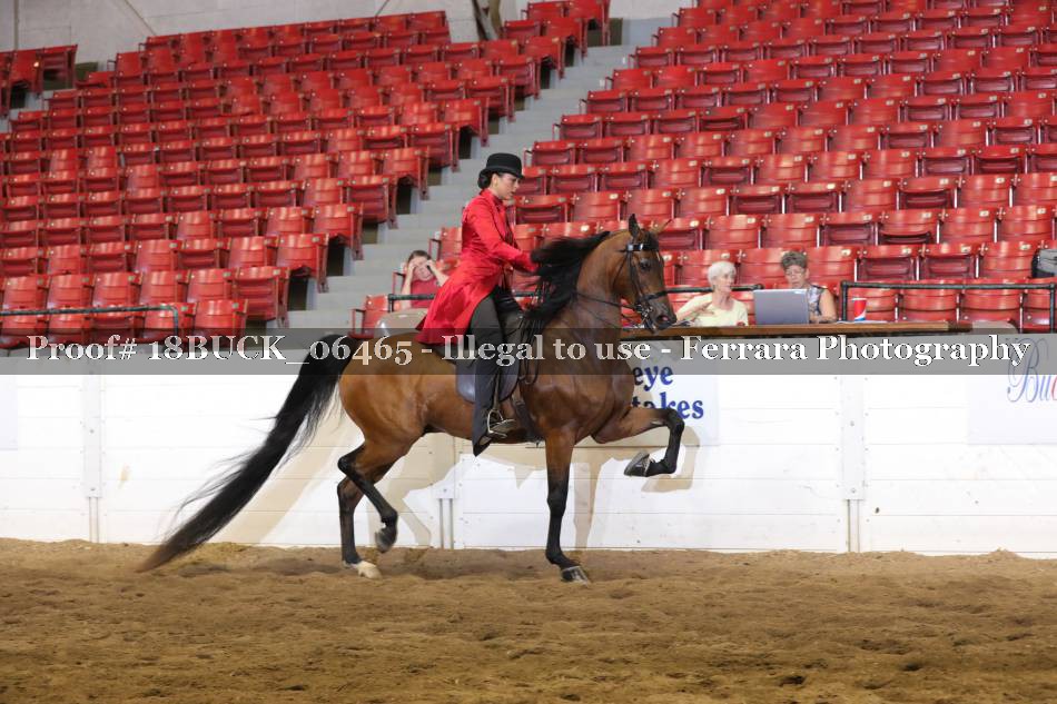 Proof 18BUCK_06465