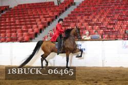 18BUCK_06465 proof