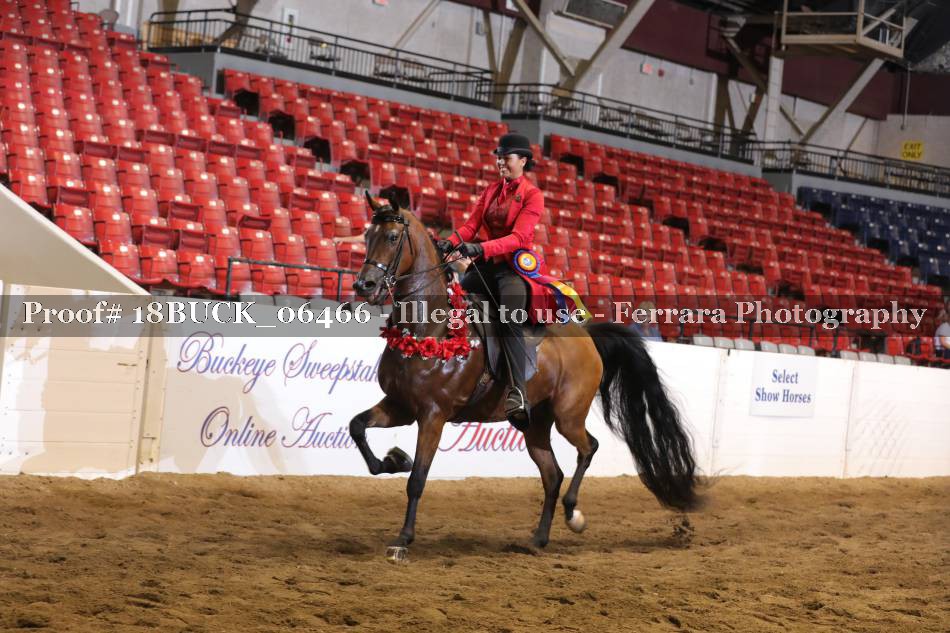 Proof 18BUCK_06466
