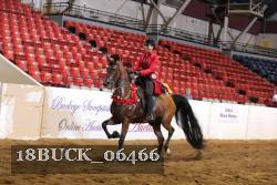 18BUCK_06466 proof