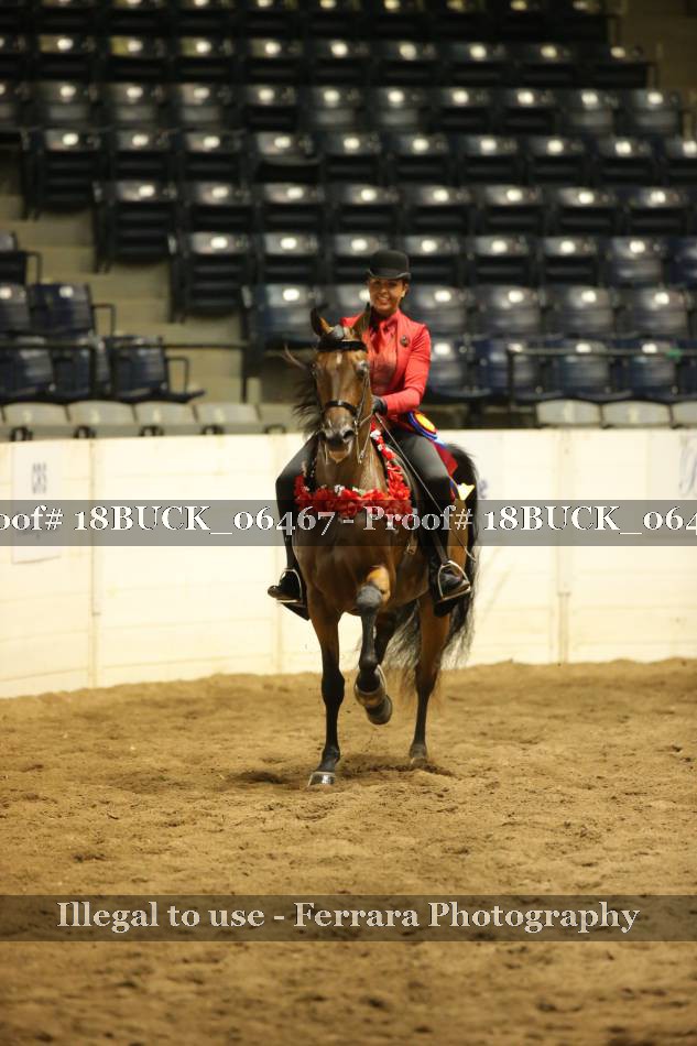 Proof 18BUCK_06467